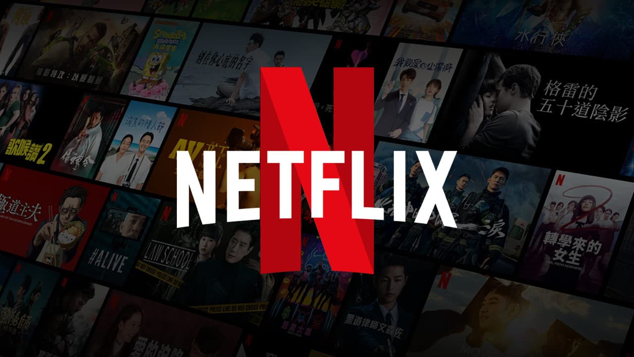 netflix video downloader:Einleitung