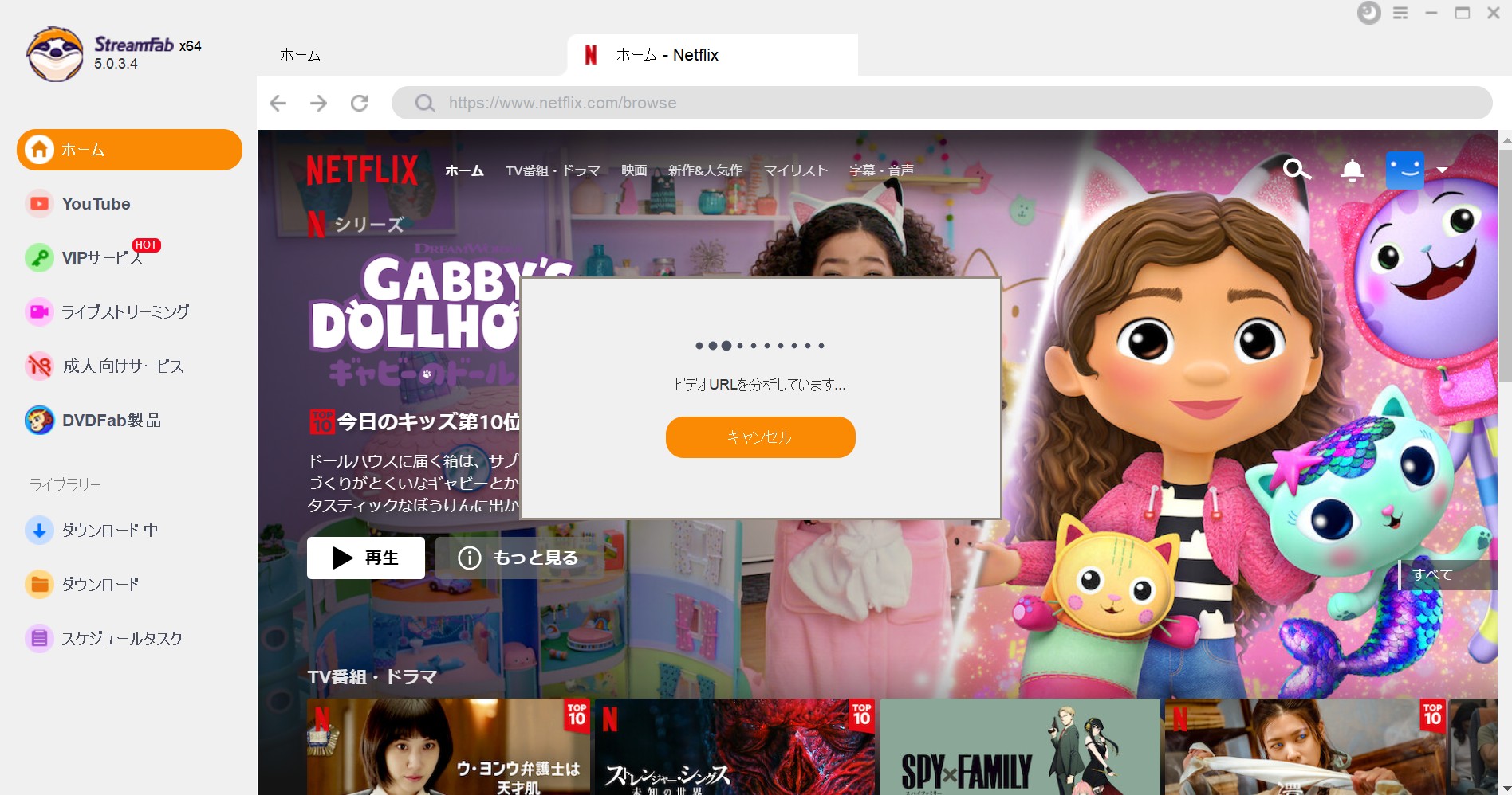 netflix 画面共有