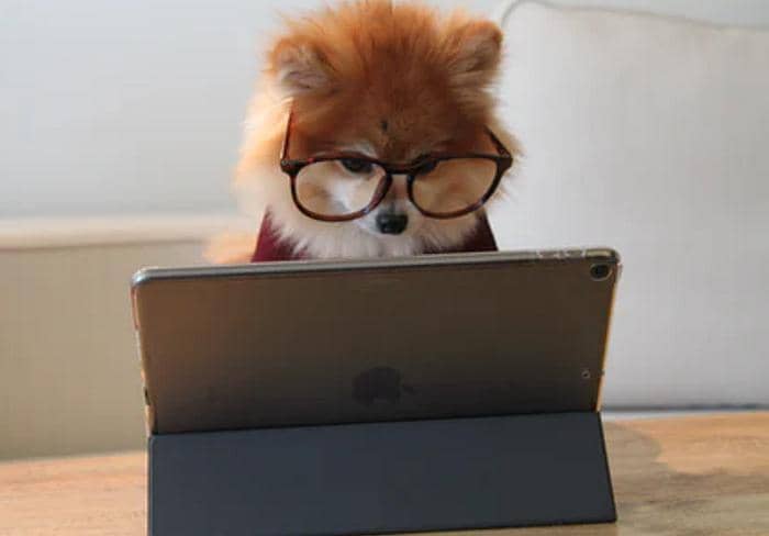 comment augmenter la résolution vidéo avec des amplificateur sde qualité vidéo: