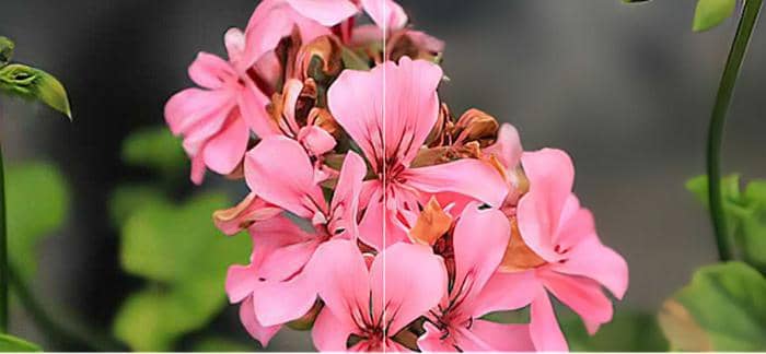 Increase Image Resolution