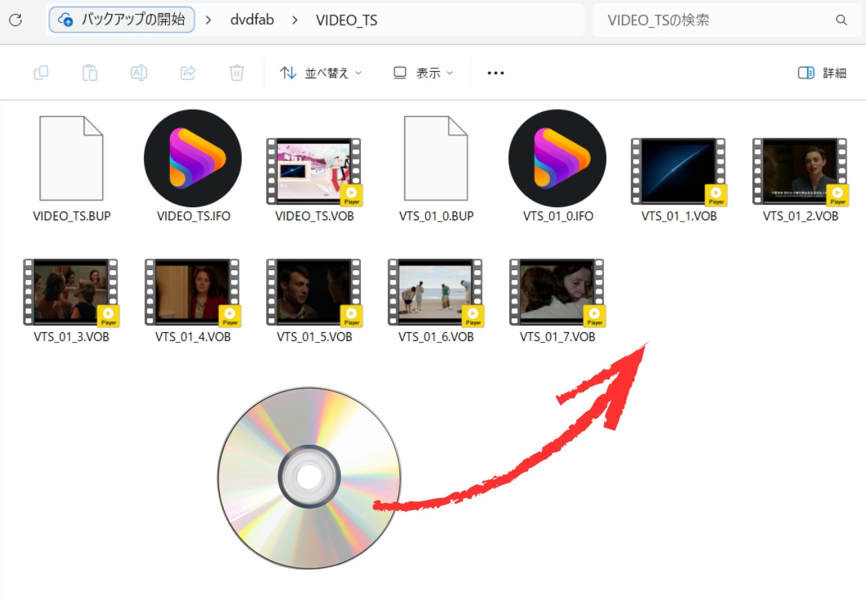 dvdfab dvd-video format