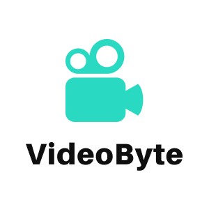 VideoByte DVD 作成