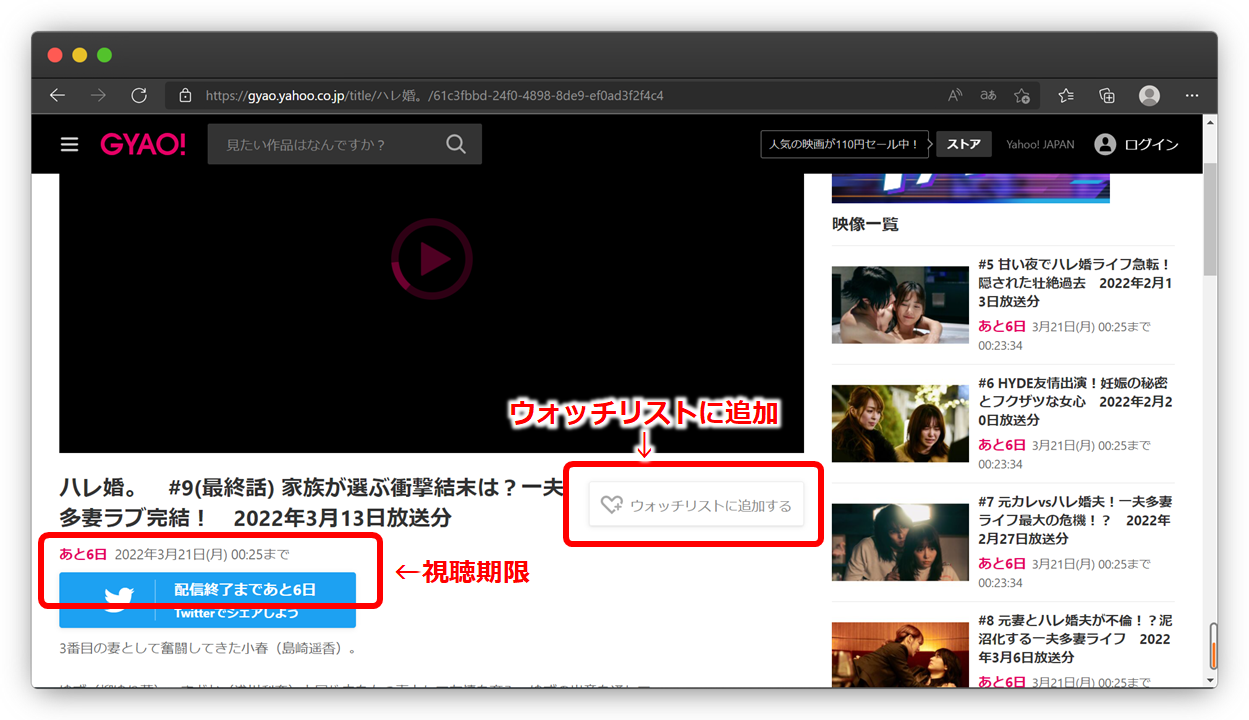 mokodojo tv!