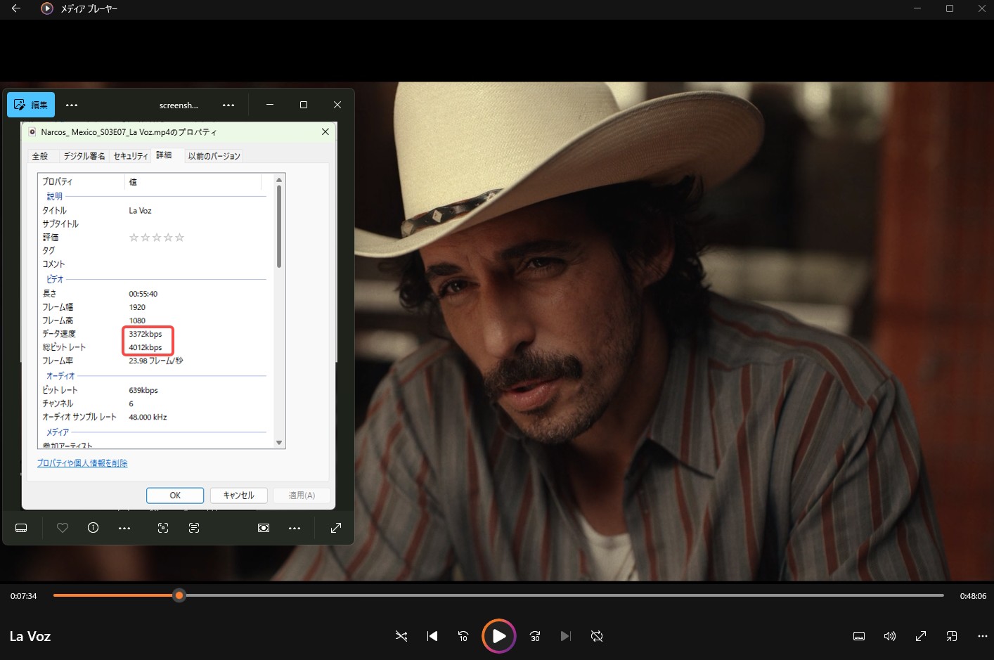 StreamFab Netflix Downloader for Browser