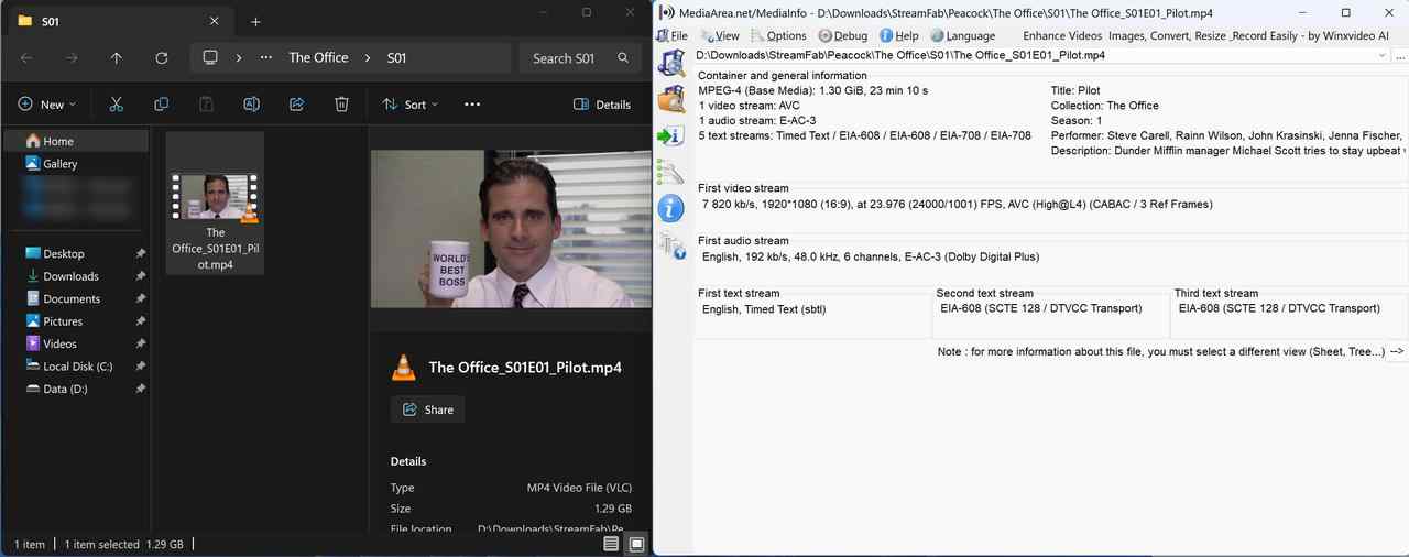 how to download peacock shows on pc via streamfab peacock downloader: step 5