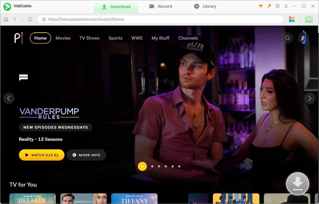 how to download peacock shows on pc via vidicable peacock downloader: step 2