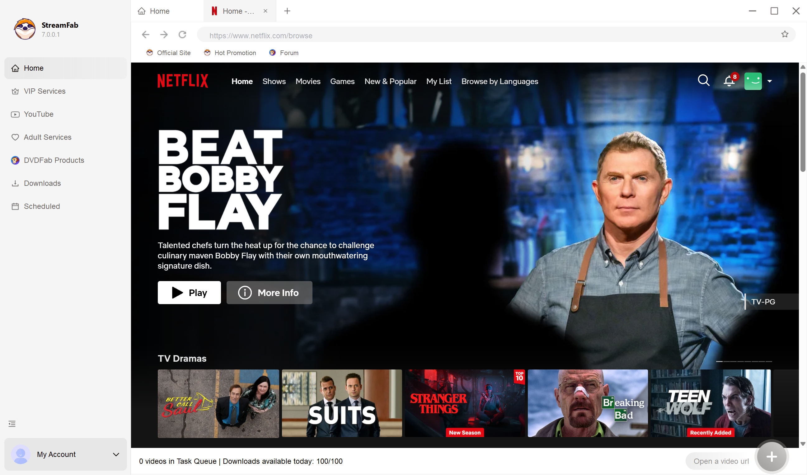 how to use the third option, streamfab. instead of flixgrab and playon