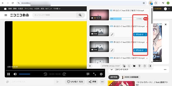Video DownloadHelper